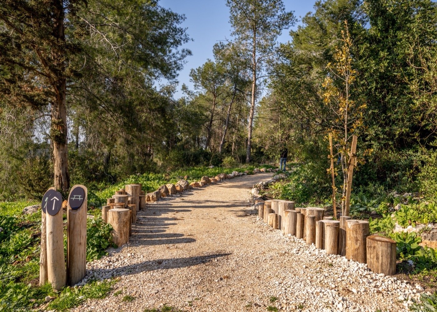 以色列哈里什森林公园-24