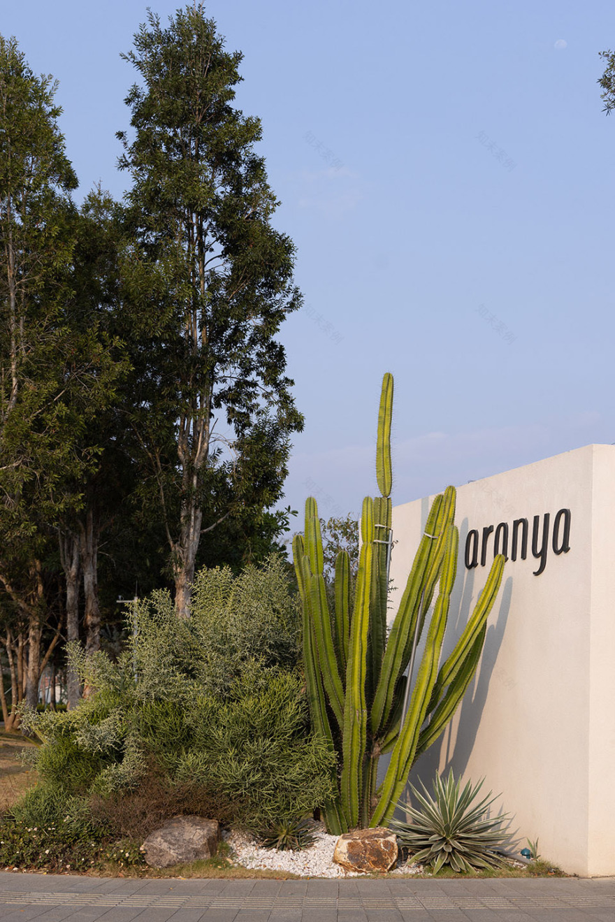 阿那亚·三亚的山丨中国三亚丨WTD纬图设计-29