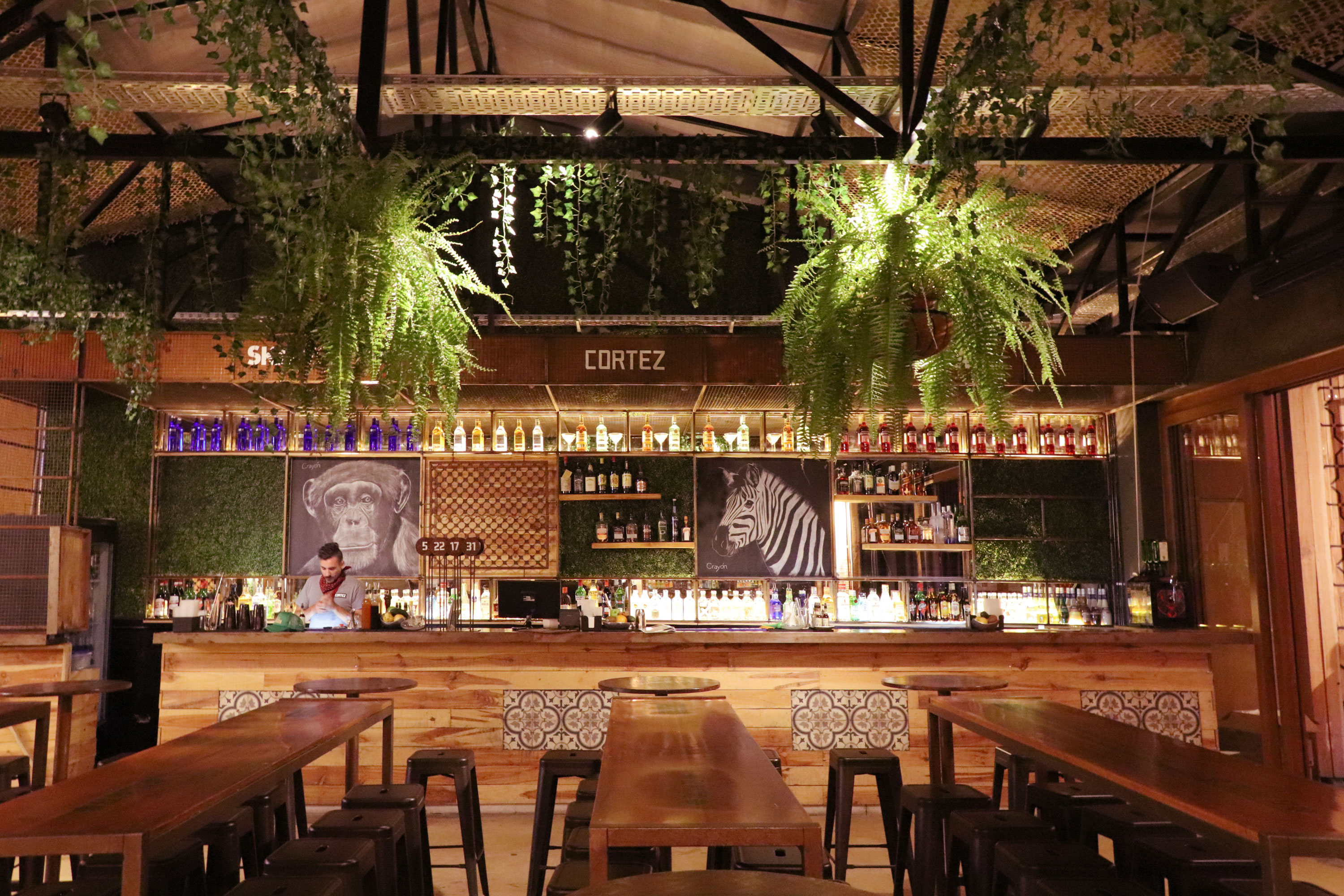 Cortez 餐厅庭院设计丨阿根廷拉普拉塔-15