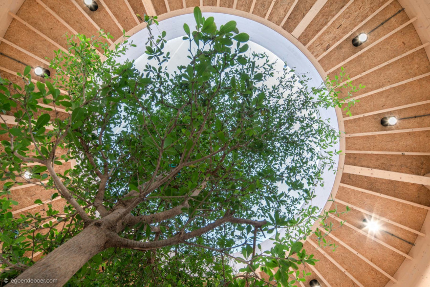 生物合成中心(注:由于Het Biosintrum可能是特定机构、场所等名称,这里Biosintrum推测是生物合成相关含义加上后缀构成的词,具体准确含义可能需结合更多背景信息确定 ) 丨Paul de Ruiter Architects-12