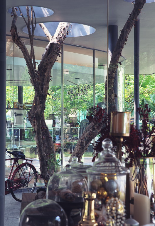 曼谷绿色森林中的玻璃房子-19