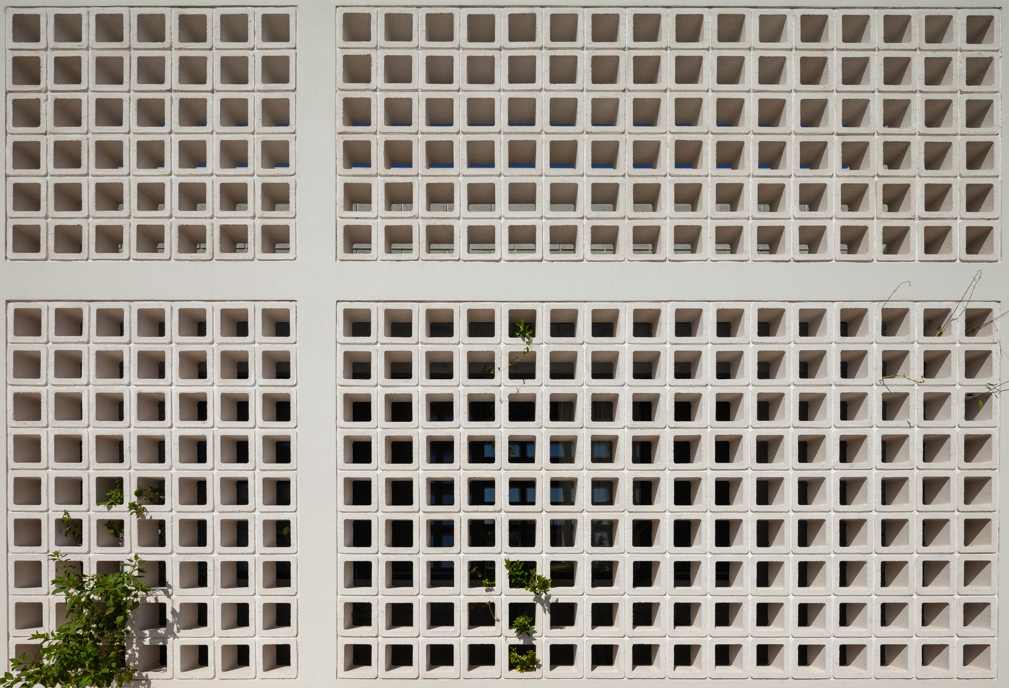 A House with Four Gardens / draftworks architects-34