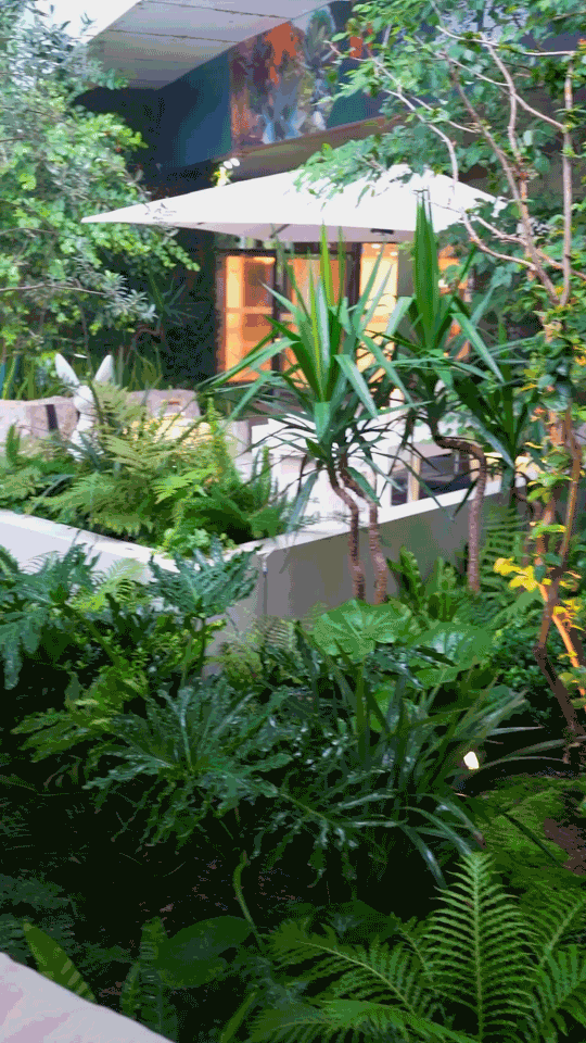 町室丨中国上海丨朱伟国(Mark.Zhu)-24