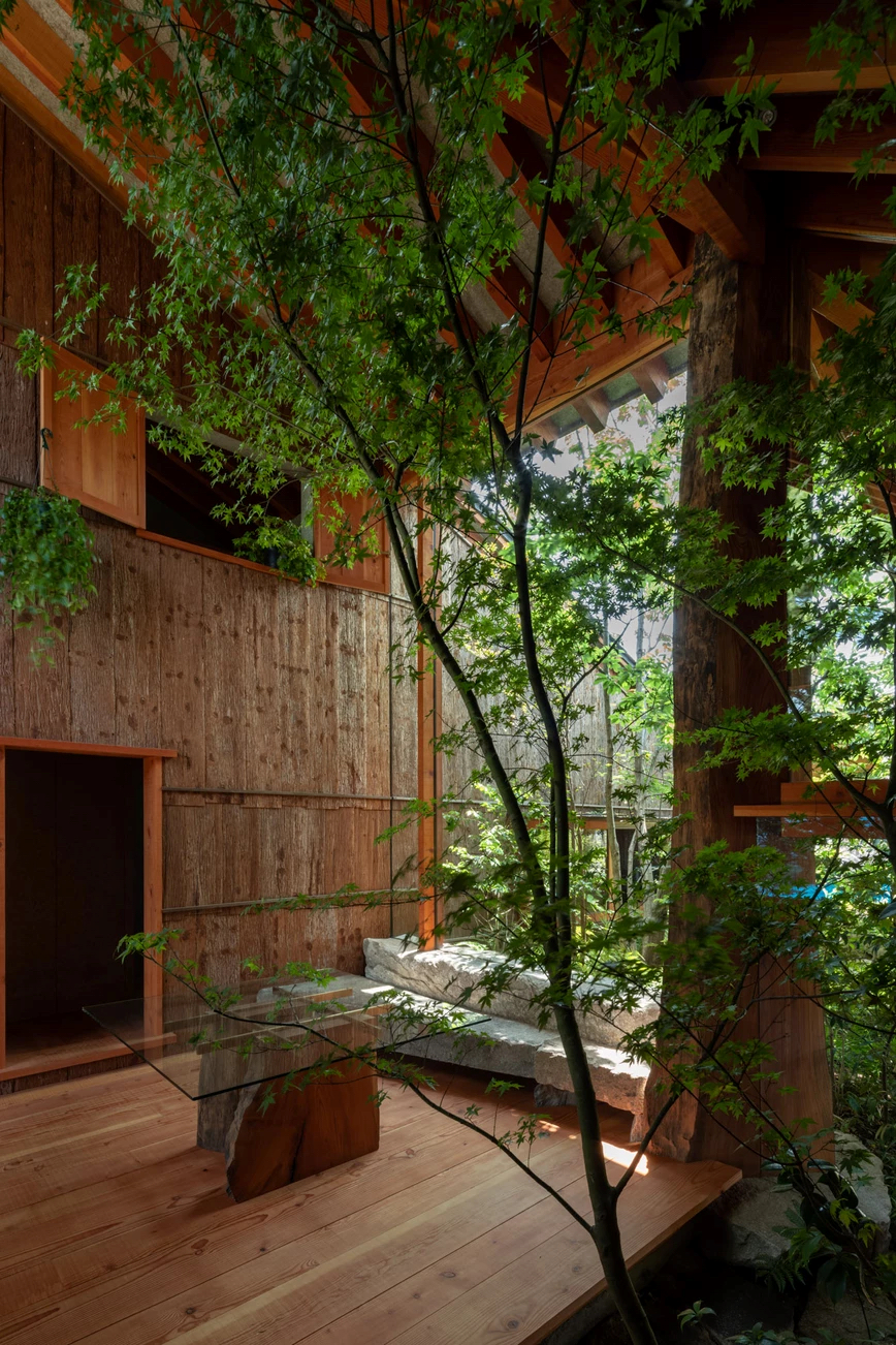 石头缝里的生机 · 大地之家的绿色创新设计-25