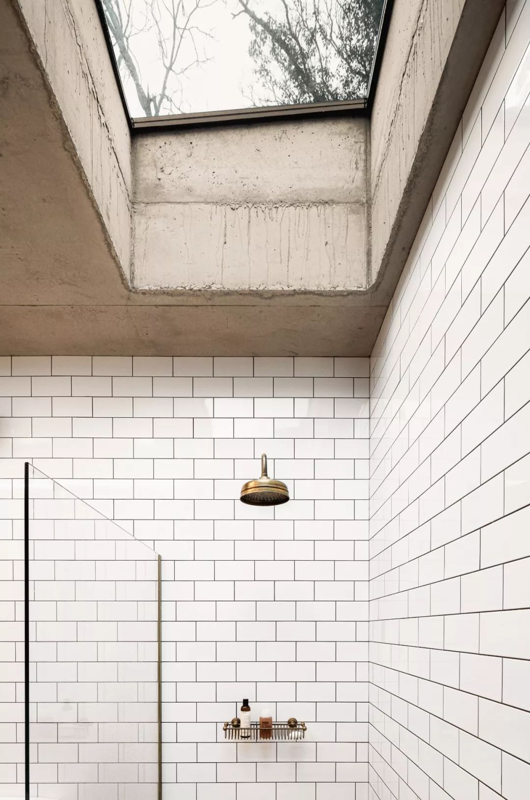 BPN Architects 打造“消失”的透明混凝土住宅-19