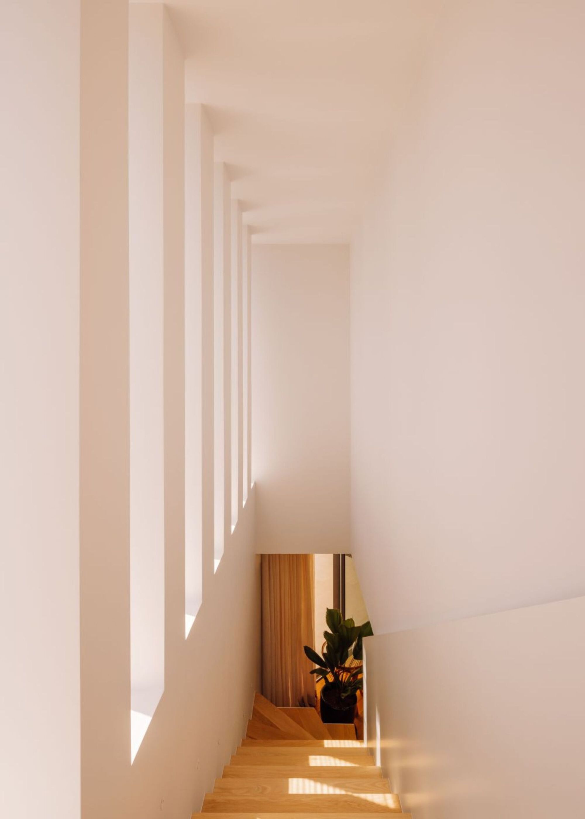 丨葡萄牙丨João Tiago Aguiar,Arquitectos-39