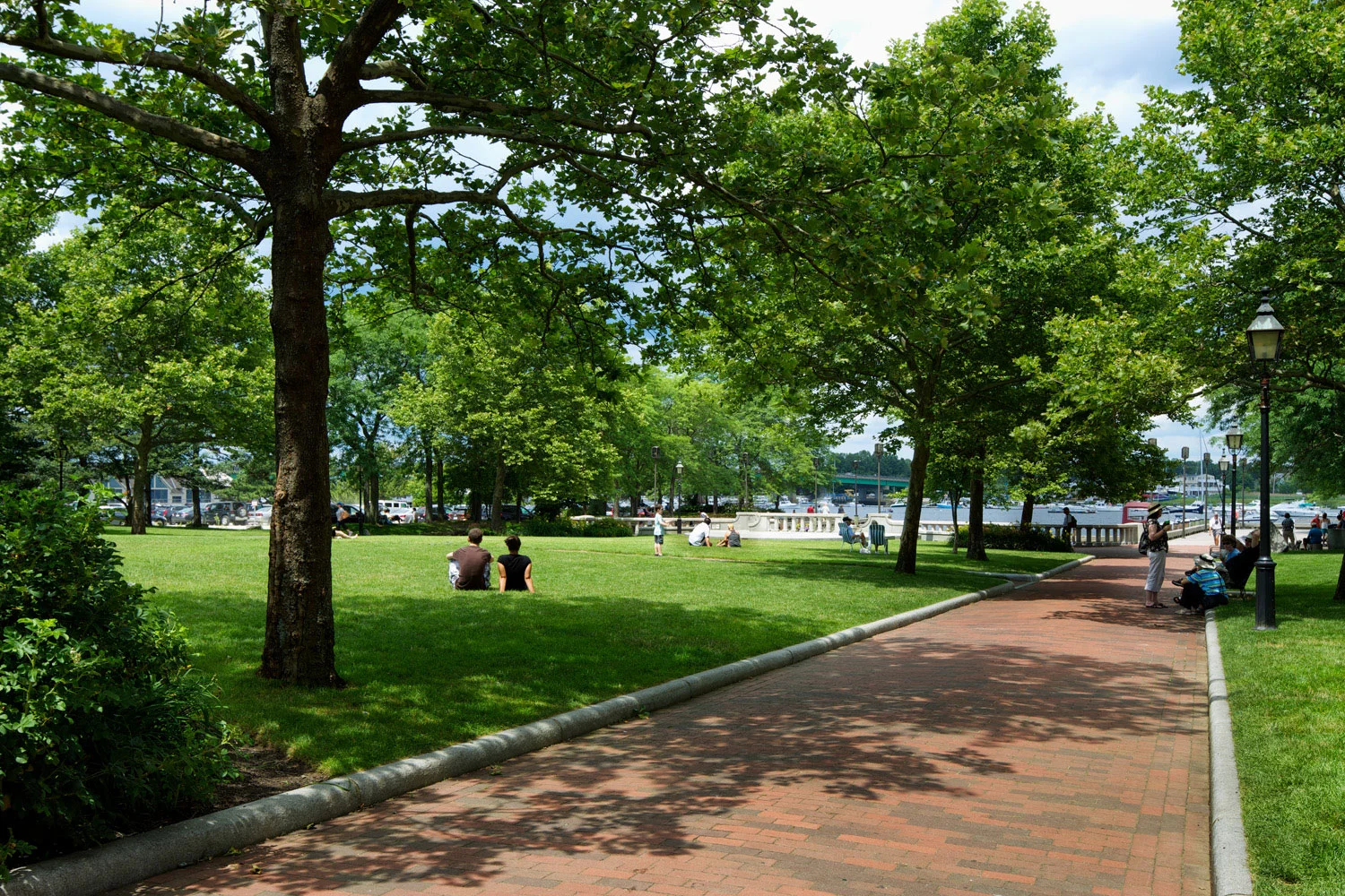 市场落地丨美国-0