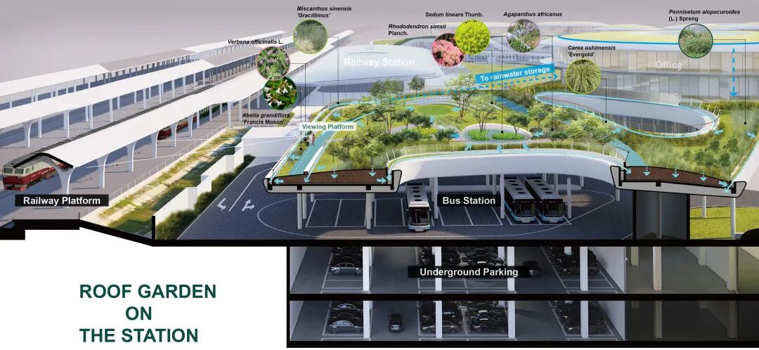 ASLA获奖作品 连接过去和未来的城市绿洲——嘉兴火车站景丨中国嘉兴丨致舍景观-110