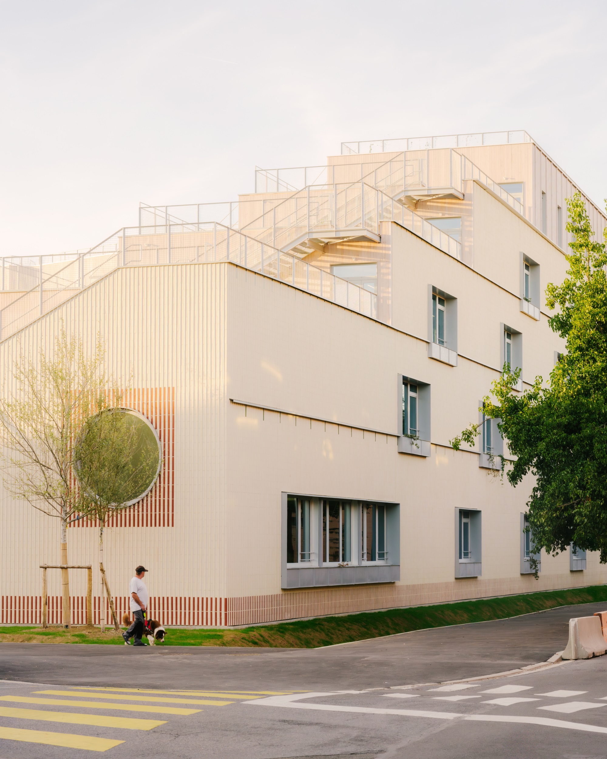 多米尼克·弗洛学校综合体丨法国-10