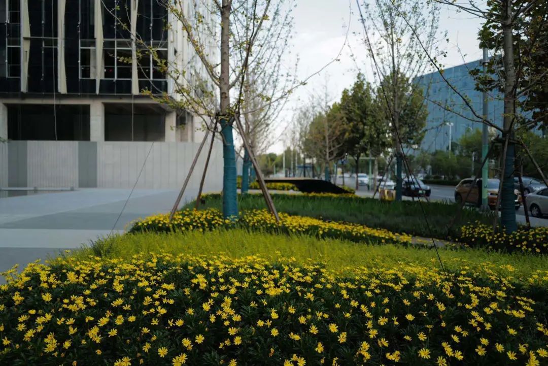 绿色生态虹桥万创中心，打造自然•“家”办公环境-40