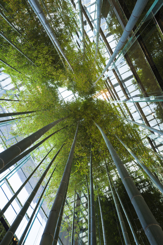 现代高阳汽车工作室 迪鲁甘·迈斯尔联合建筑师事务所-34