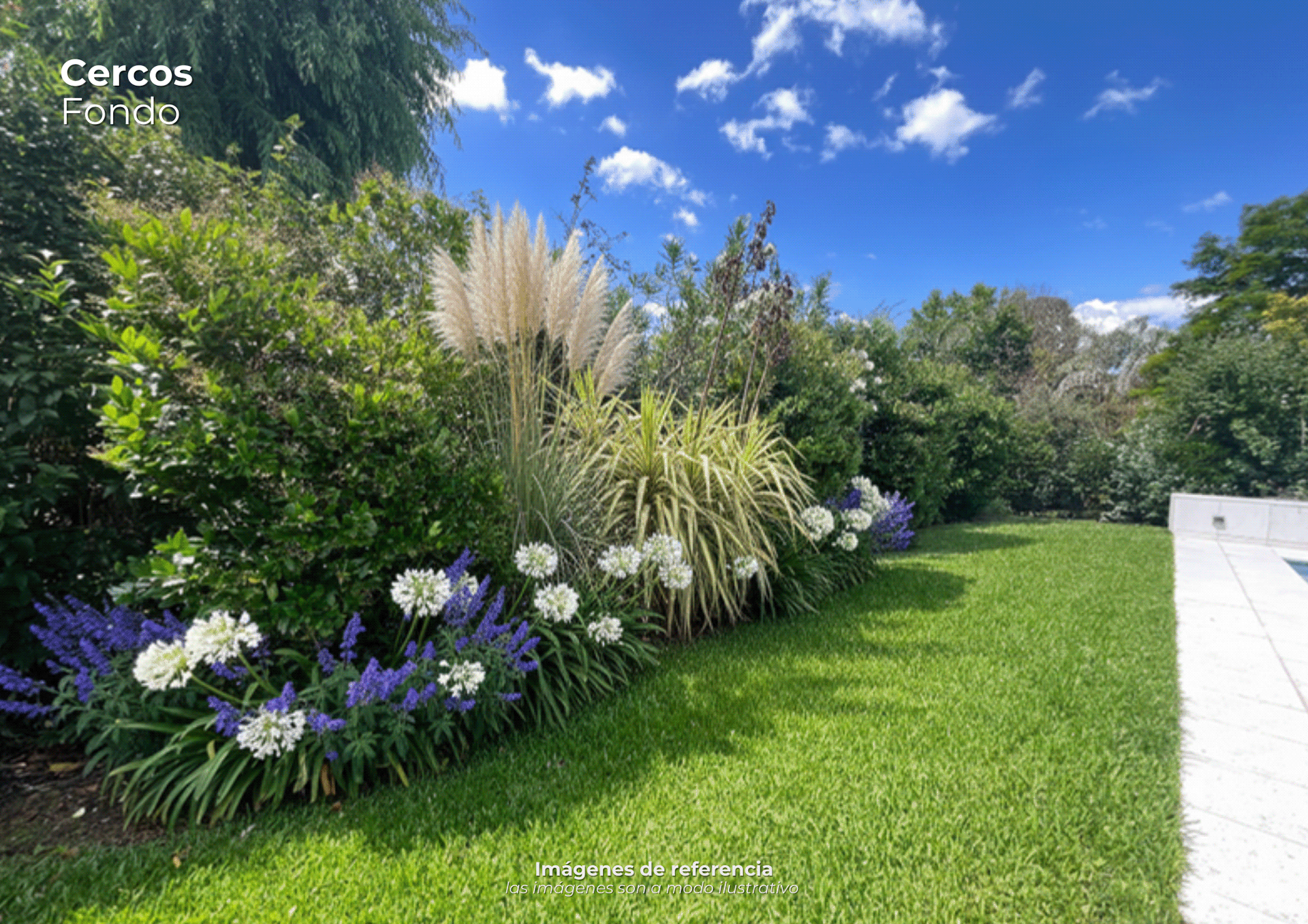 Multiespacio | Proyecto freelance-5