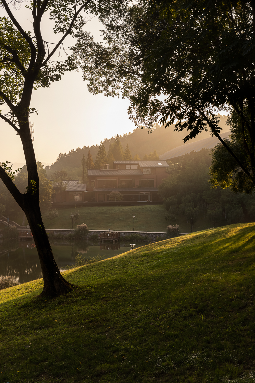 龙吟山房青龙山庄店丨中国南京丨纵横一线-17