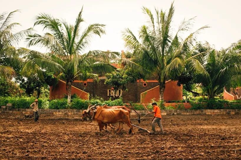 印度农场森林中的红砖城堡度假村-14
