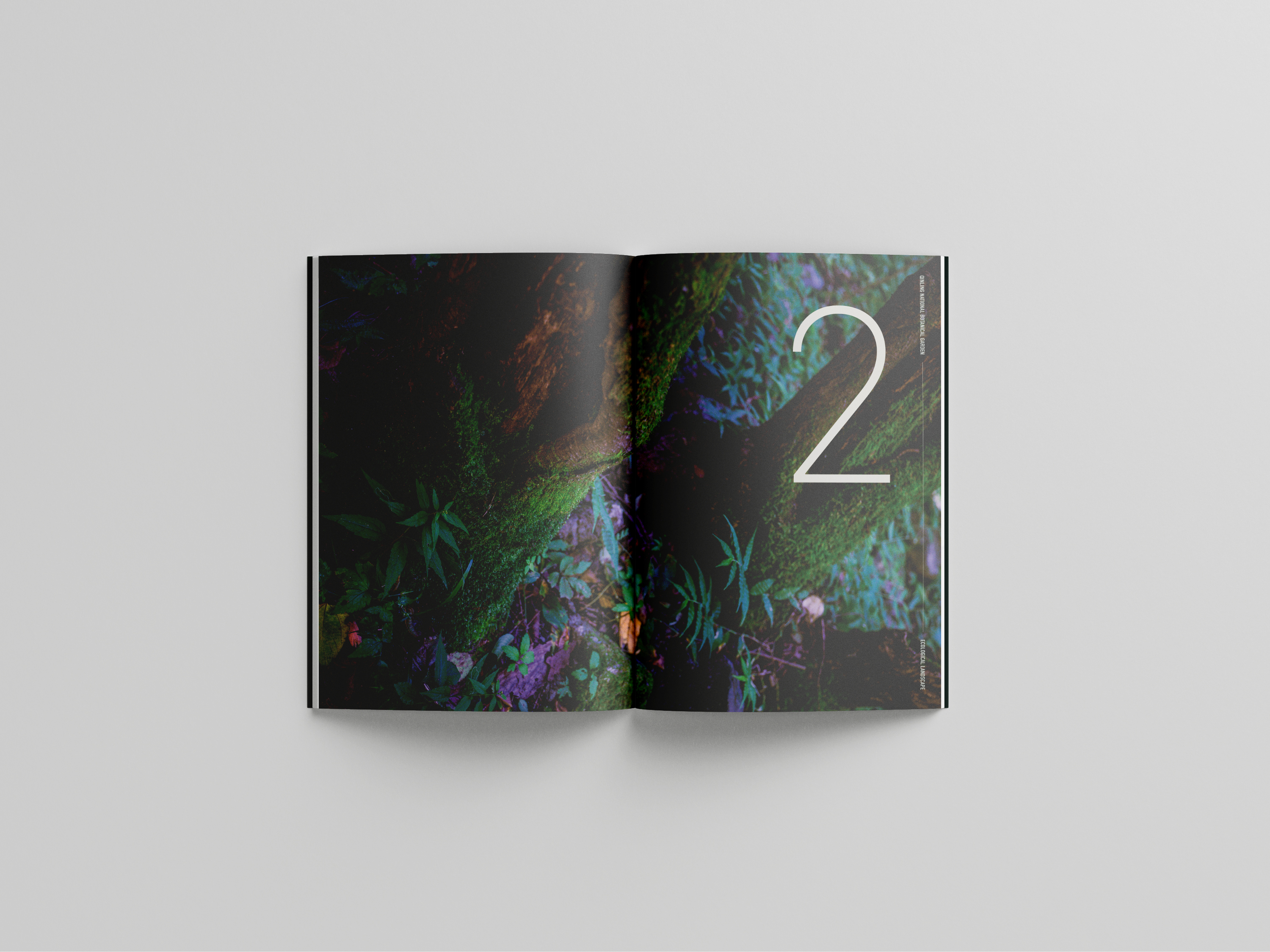 秦岭国家植物园摄影及宣传册设计丨美格锐西安办公室-10