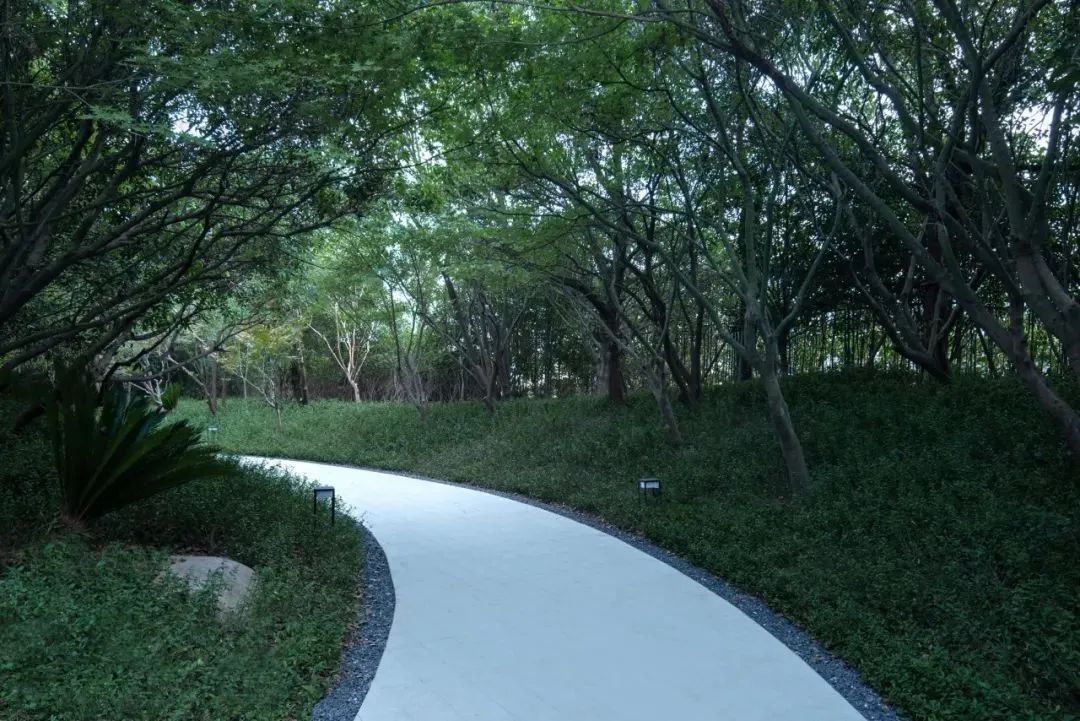 世茂·云玺庐丨中国宁波丨QIDI栖地设计_栖创事业部-41