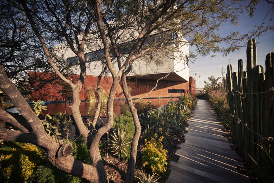 墨西哥巴尔加斯住宅丨Isaac Broid Arquitecto-14