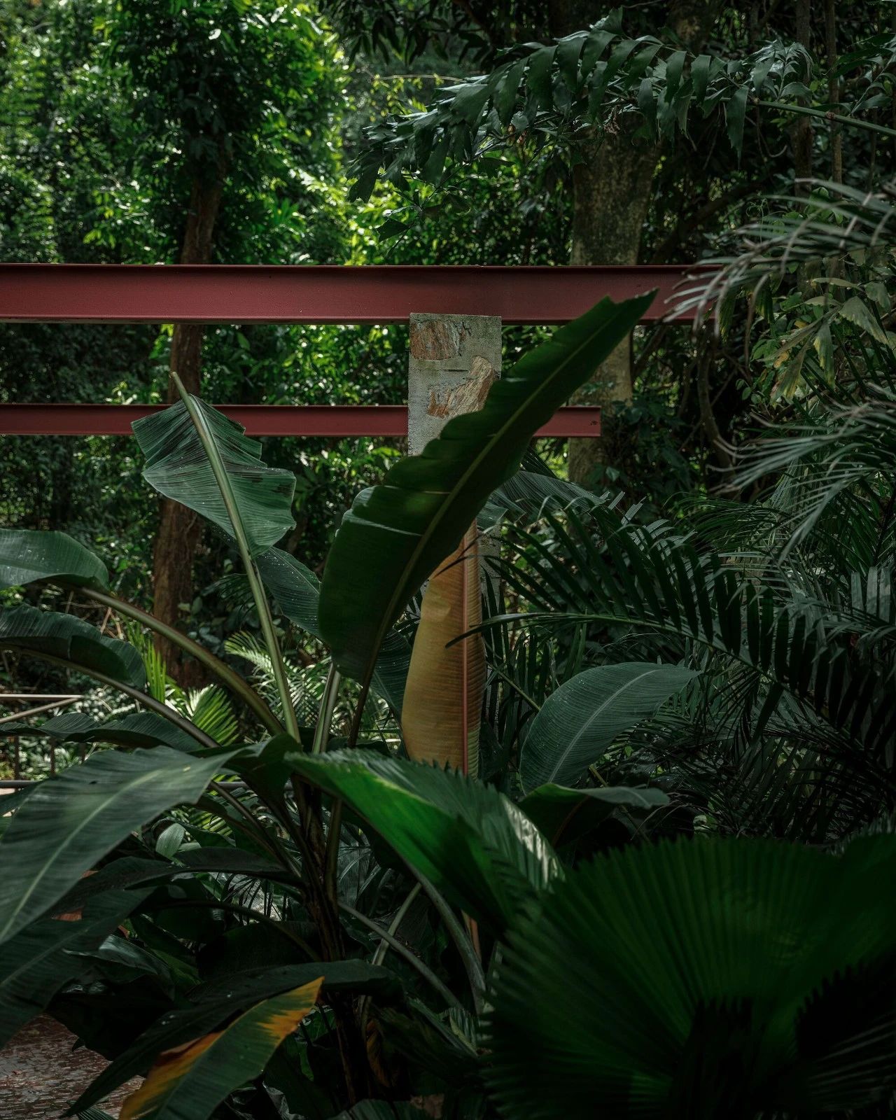 加维亚的房子丨巴西里约热内卢丨gru.a-18