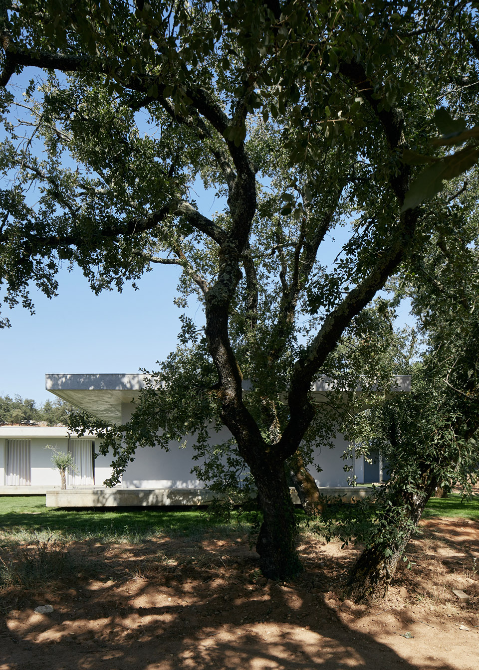 法努住宅,葡萄牙 / BRUNO DIAS/ ARQUITECTURA -11