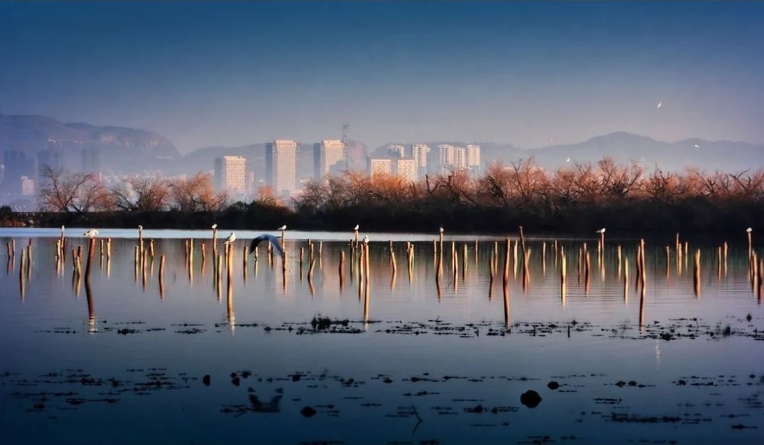  上海日清景观丨昆明招商 · 依云国际社区  景观设计  丨中国云南-13