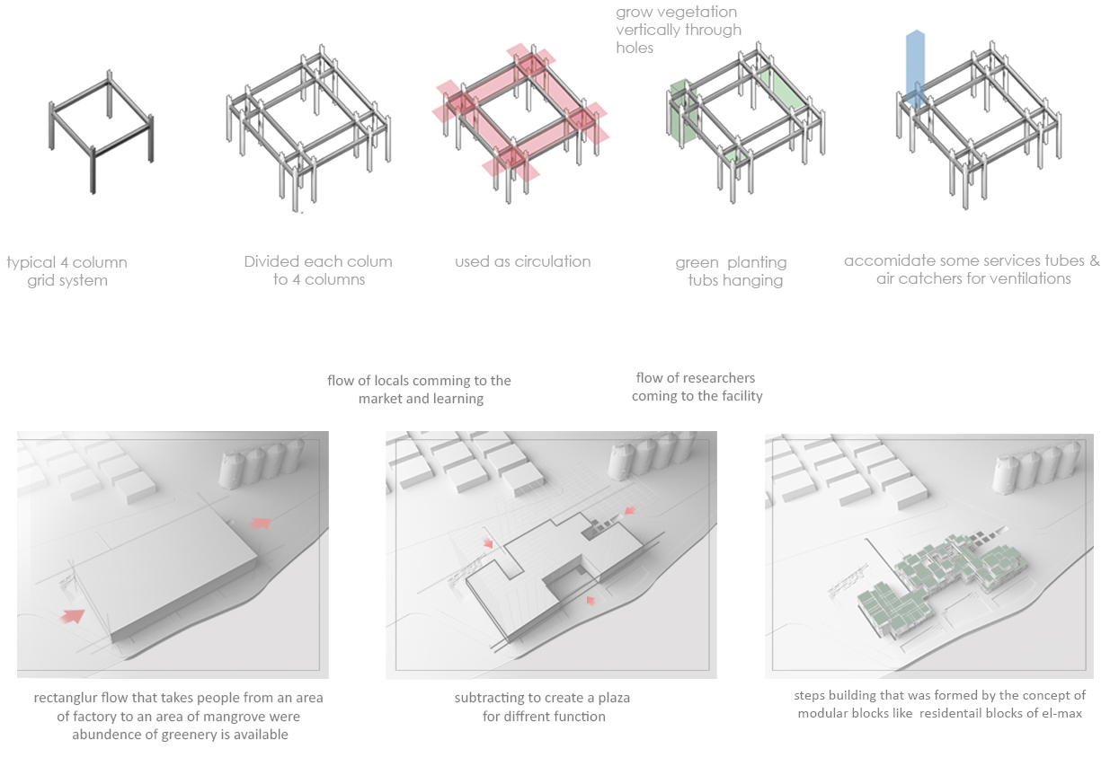农业社区空间中心丨埃及亚历山大-6