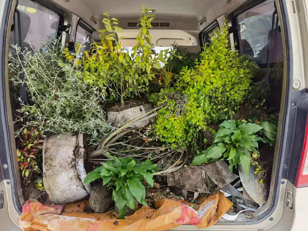 MINI花园中的弃物手作-118