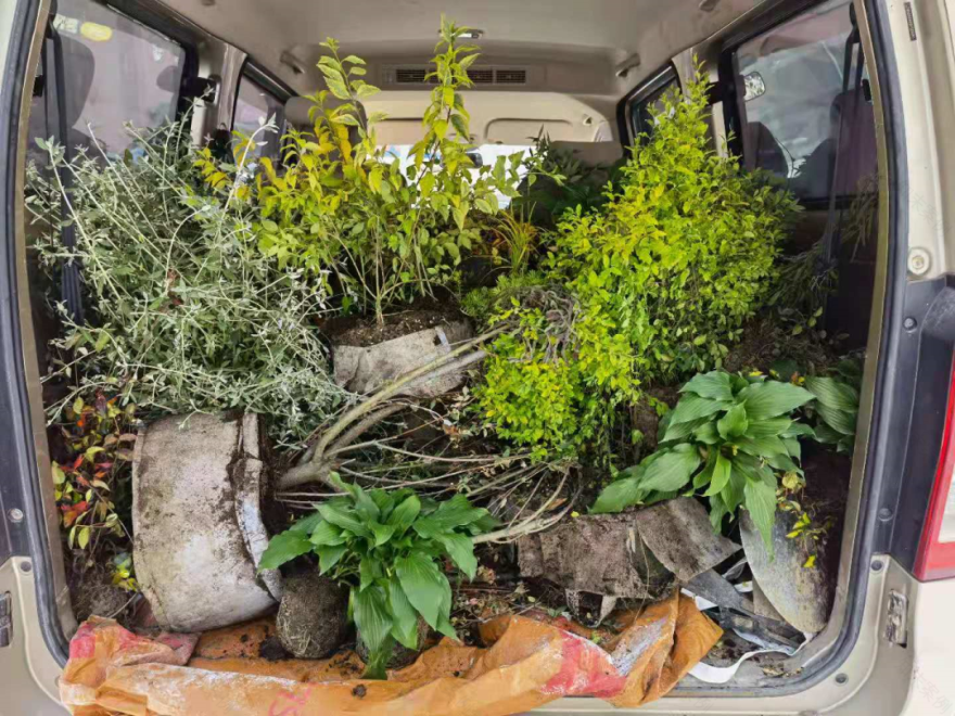 MINI花园中的弃物手作-118