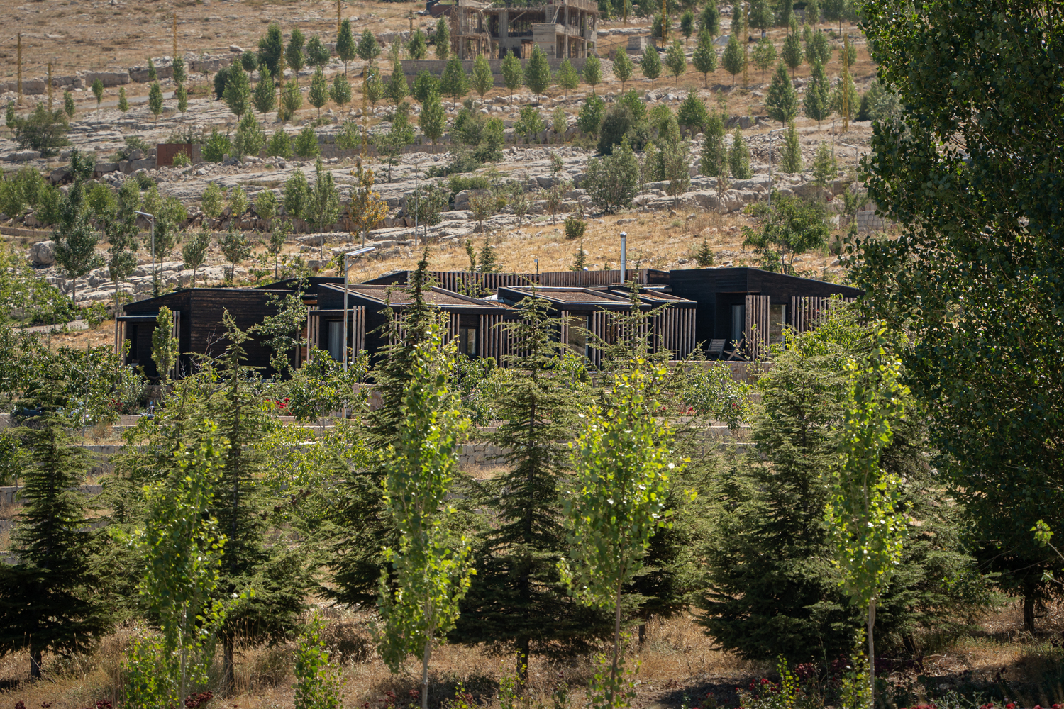 黎巴嫩 Bakish 住宅丨AK. 建筑工作室-10