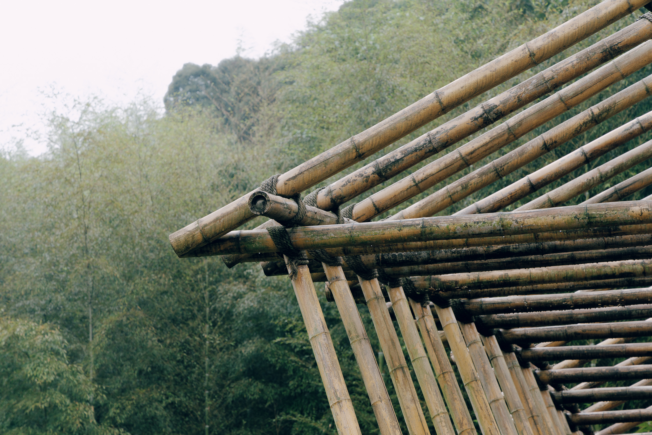 Qingshan village bamboo bridge-13