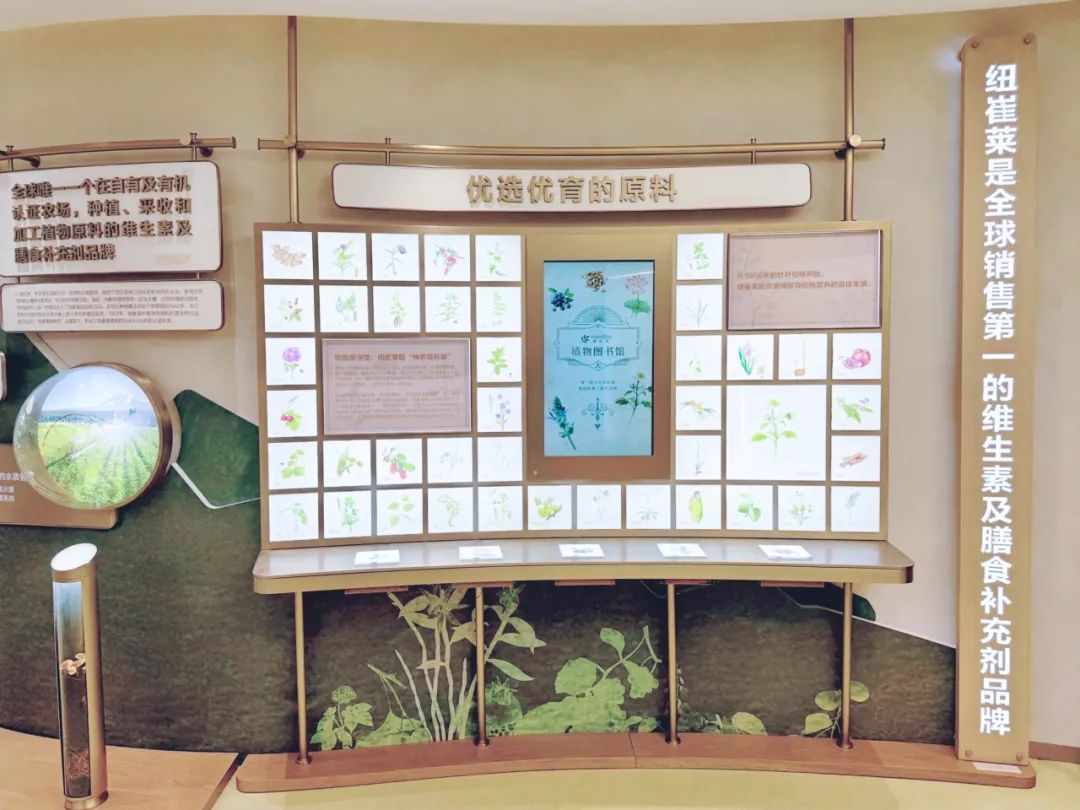 安利上海美花体验馆纽崔莱品牌体验空间丨中国上海丨Cityinno意创-37