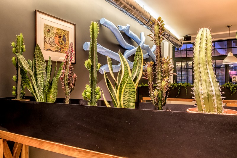 尼斯道旅社波尔图-23