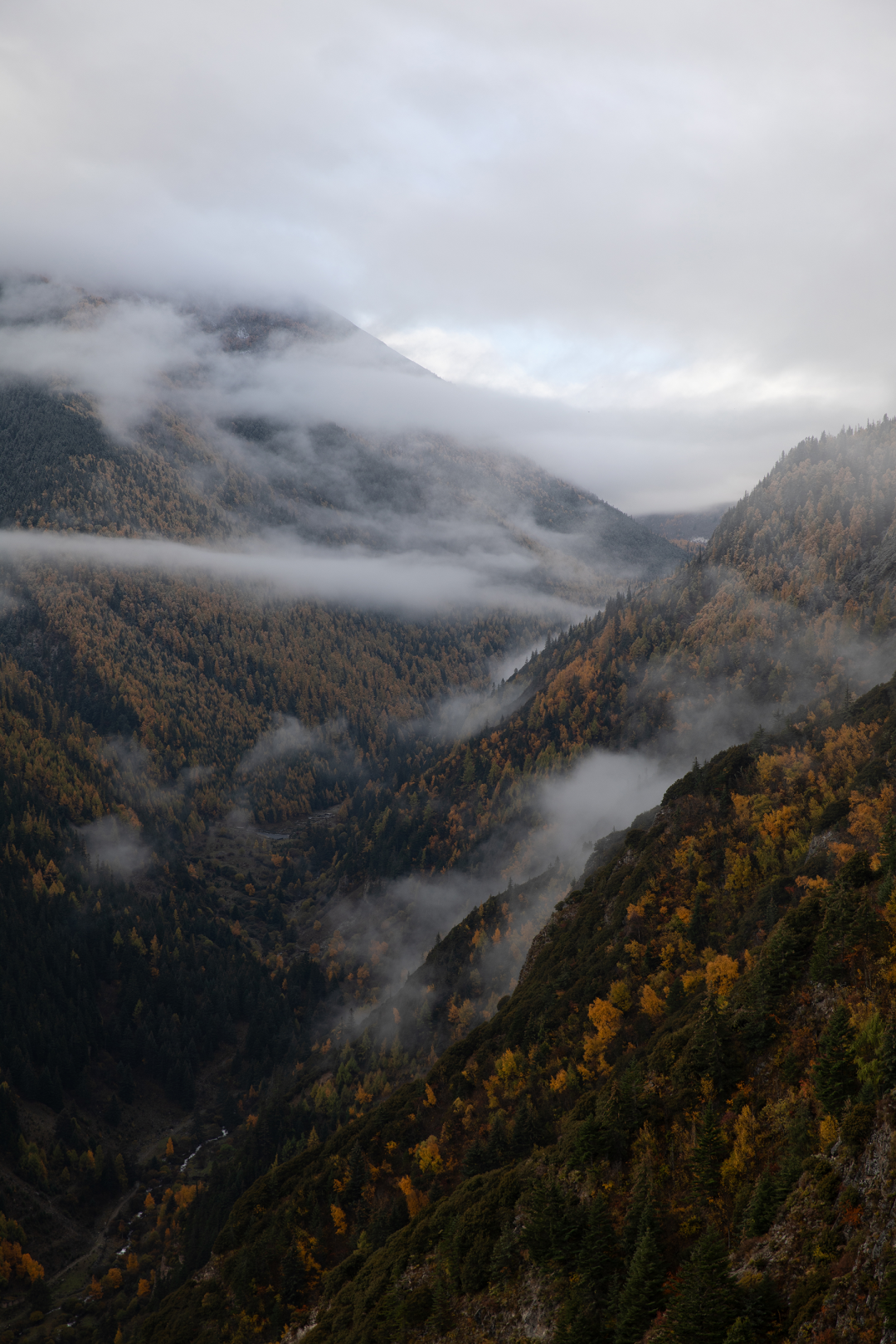 入云山民宿丨中国四川丨重庆無既萬溯设计有限公司-2