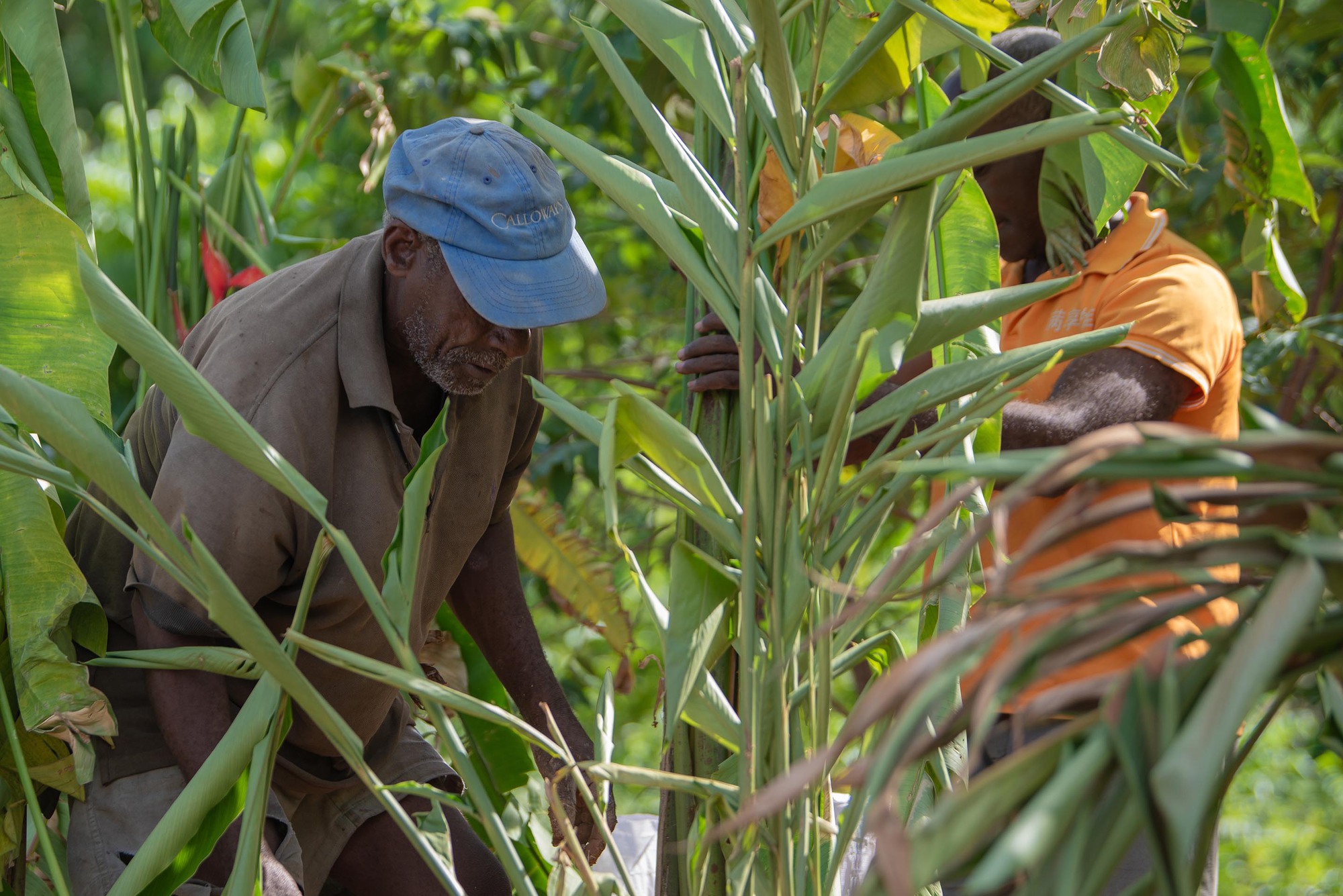Community Center in Bercy-Cavaillon Haiti / Emergent Vernacular Architecture (EVA Studio)-38