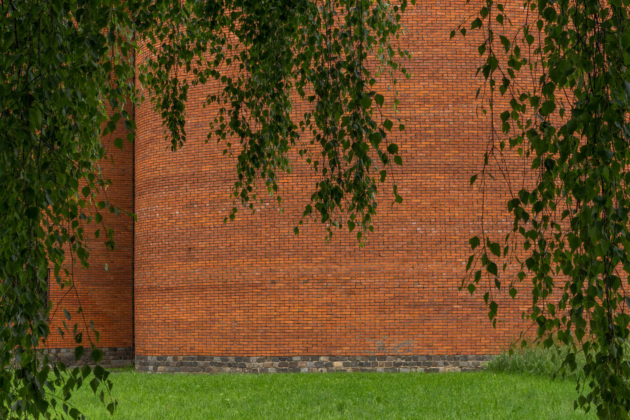 Paleontological Museum-19