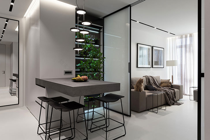 乌克兰极简公寓 | 44 平方的艺术之家-7