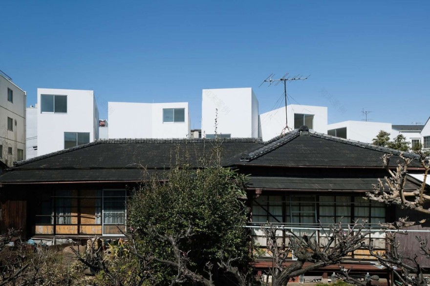 Kaminoge 公寓丨日本东京丨日本川边直哉建筑事务所-15