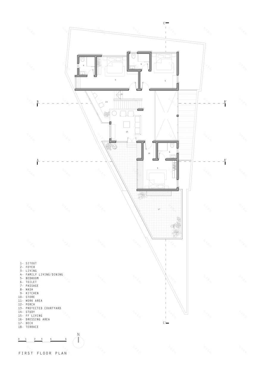 丨印度丨TROPICAL TONES-48