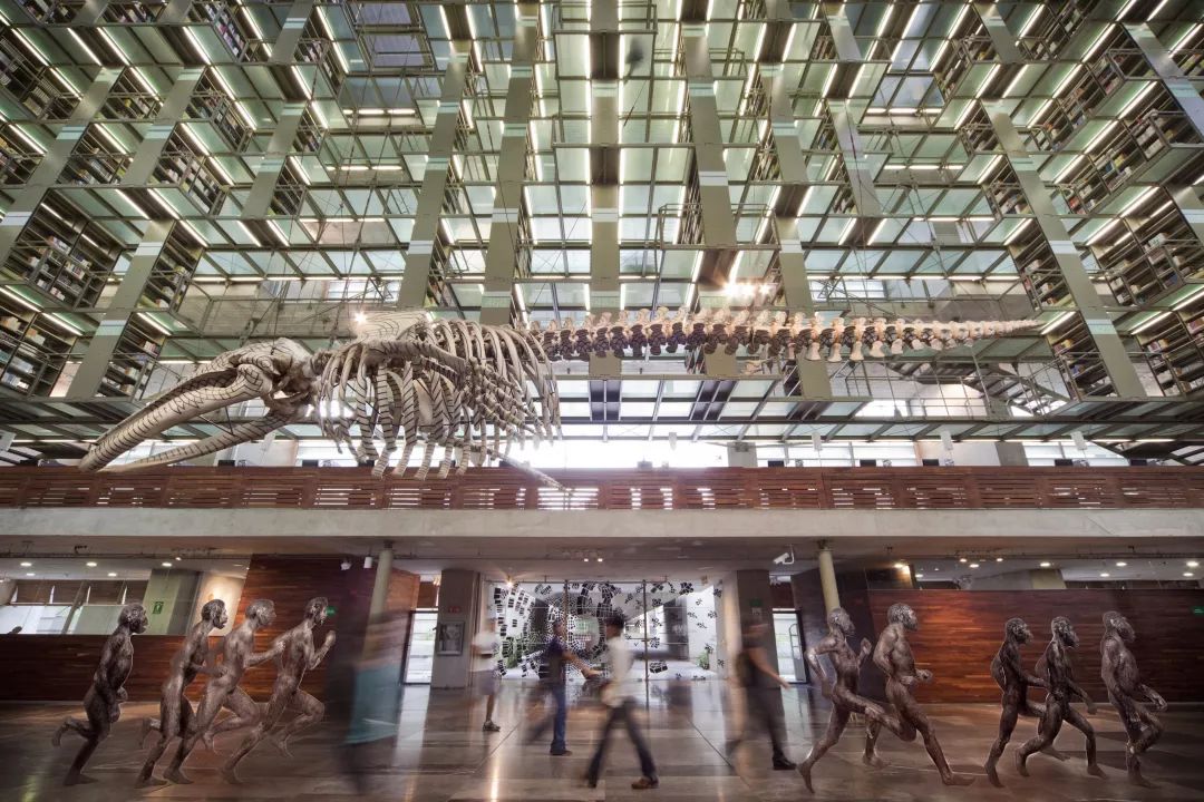 全球「最美图书馆」大赏 | 书香宁静，自然美好-38