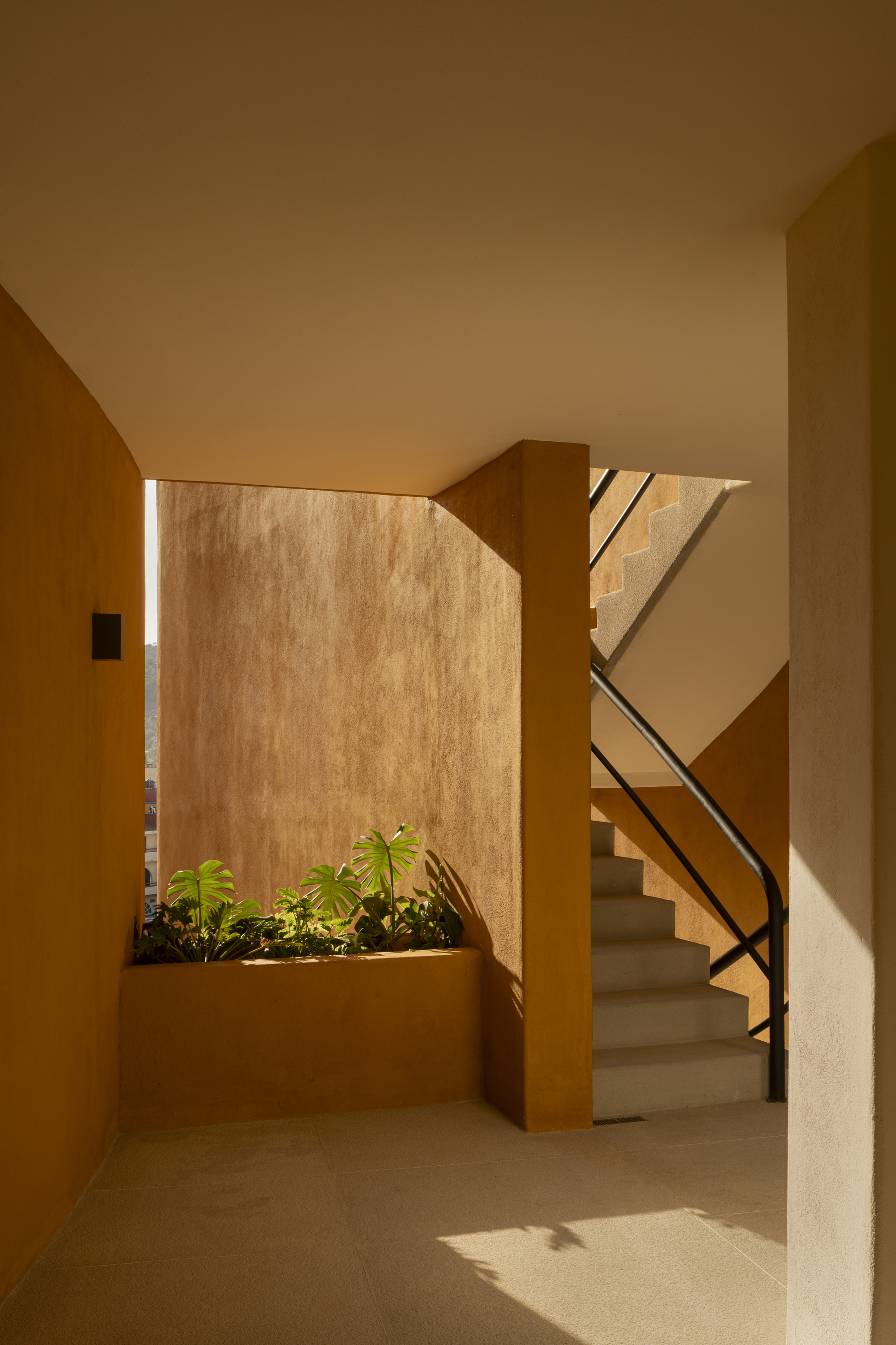 卡平特罗斯住宅楼丨墨西哥丨Zozaya Arquitectos-34