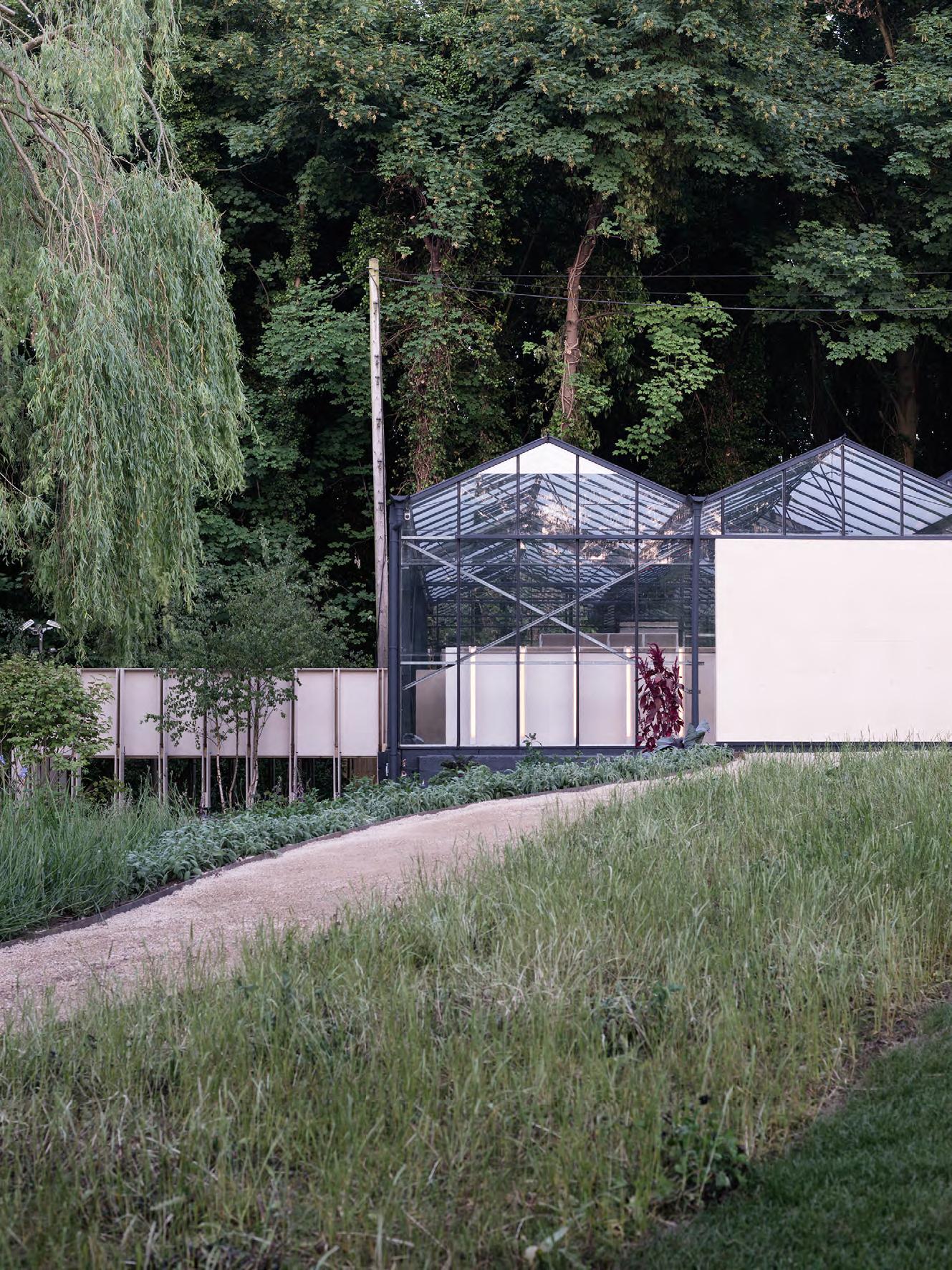 Derelict glasshouse in London transformed by HASA Architects    在伦敦的废弃温室，由HASHAS建筑师改造-9