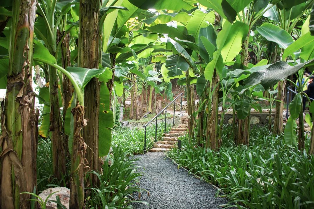 紫涧园（郊野径入口）景观设计丨东大（深圳）设计有限公司,AECOM-65