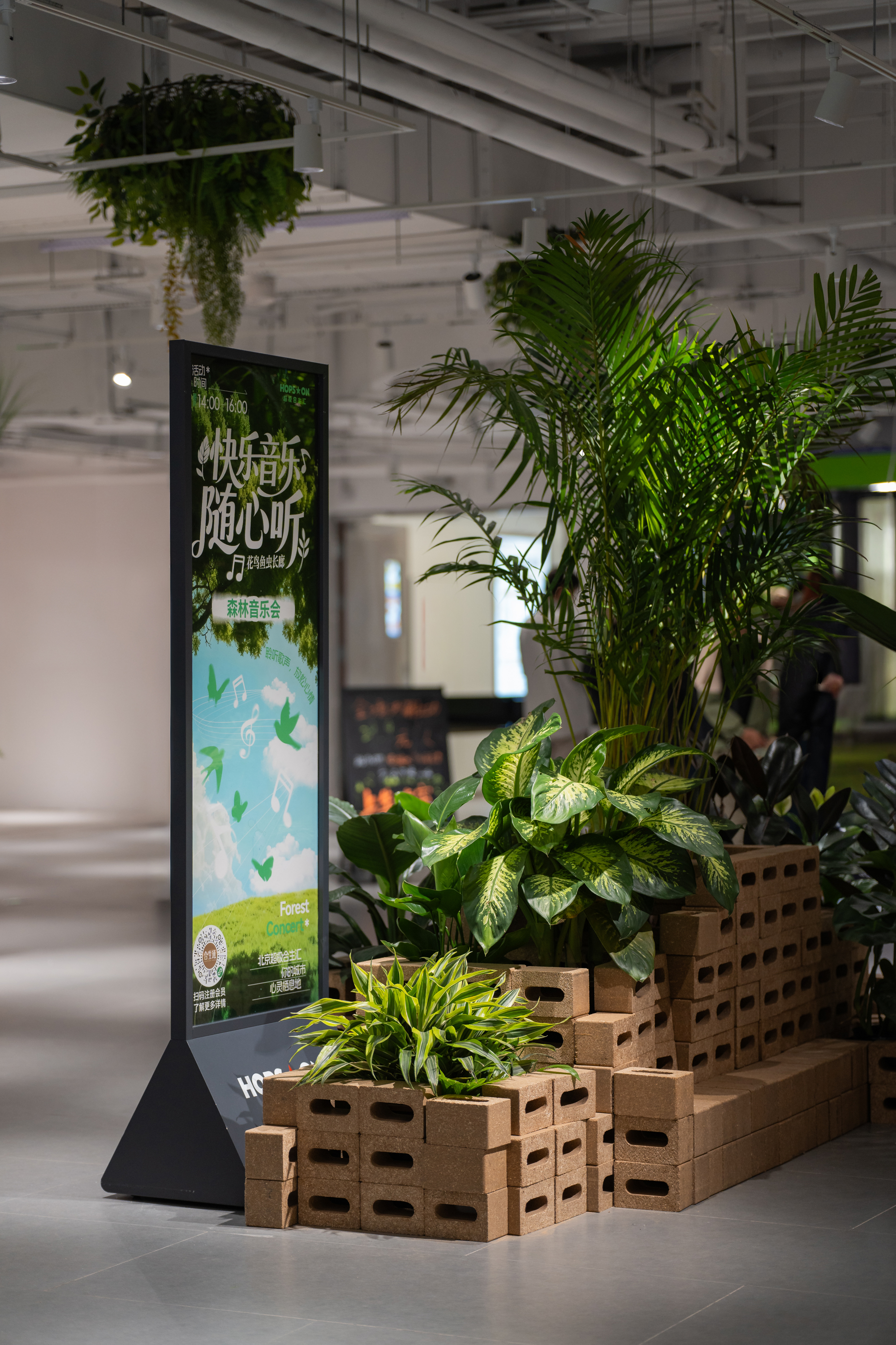 北京超极合生 迷失在花鸟鱼虫市场里的年轻人。-33