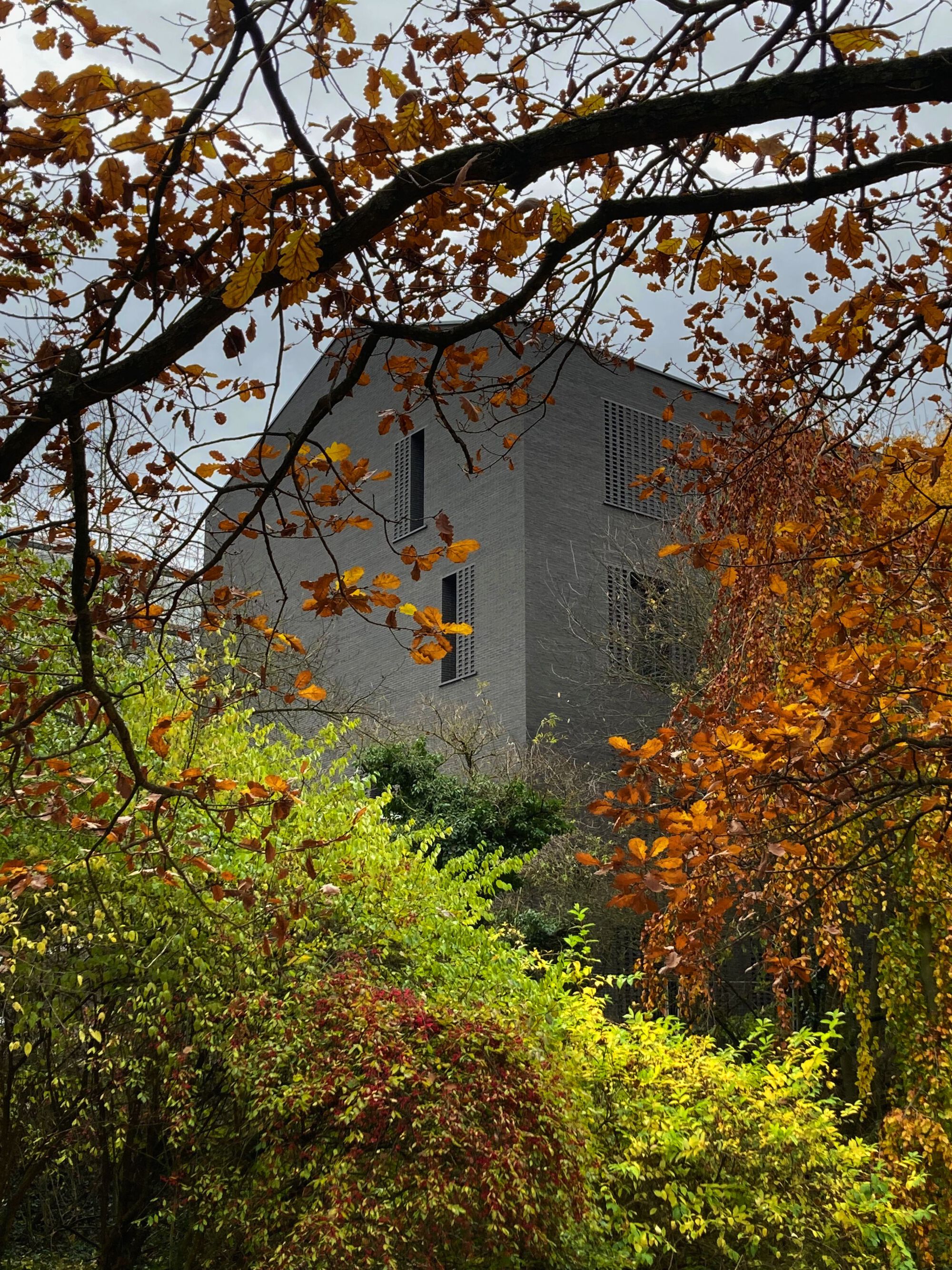 Seminar Building Philipps University at Pilgrimstein, Marburg / Dichter Architekturgesellschaft-14