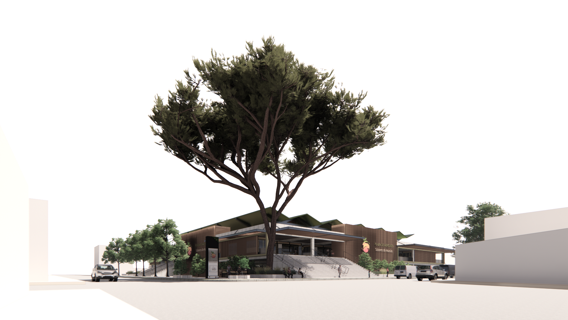 Acacia - farmers market-0