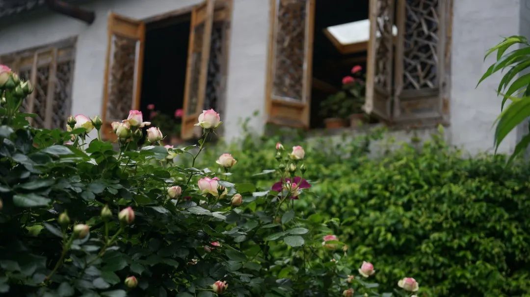 回声花园 · IT 夫妇的乡野生活丨中国黄山丨红子,小可夫妇-51