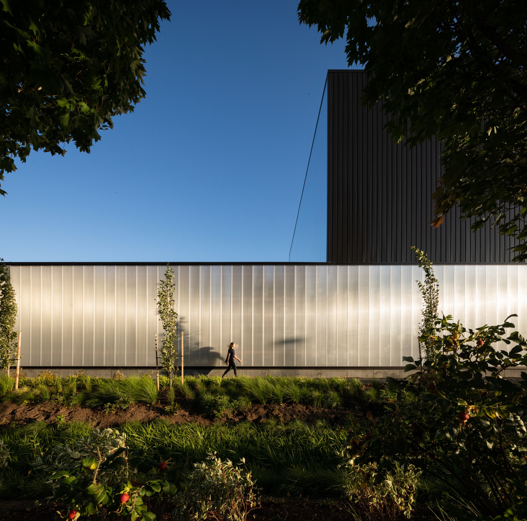 俄勒冈森林科学综合体丨美国科瓦利斯丨Michael Green Architecture-42