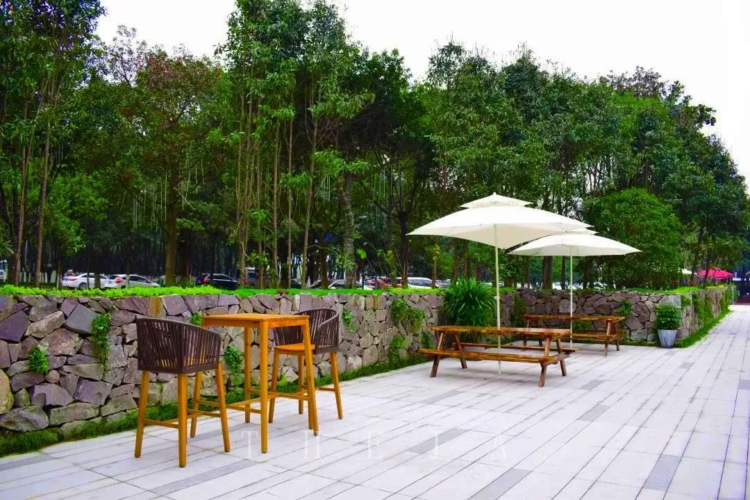 迪赛·东篱 | 闲田信步，采菊东篱-69