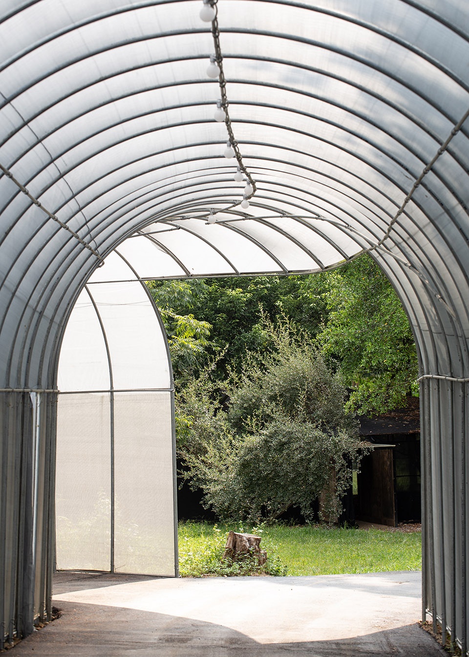 苗栗香格里拉乐园的生态奇观·勤美学森大-43