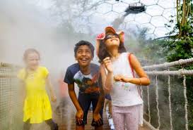 创意户外空间 | 2016 年建成的伊甸园项目-14