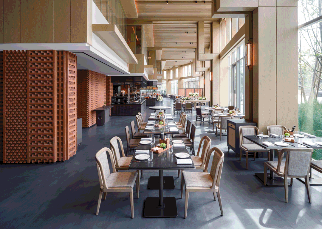 开门纳客丨东进新启航·木棉正当红-55